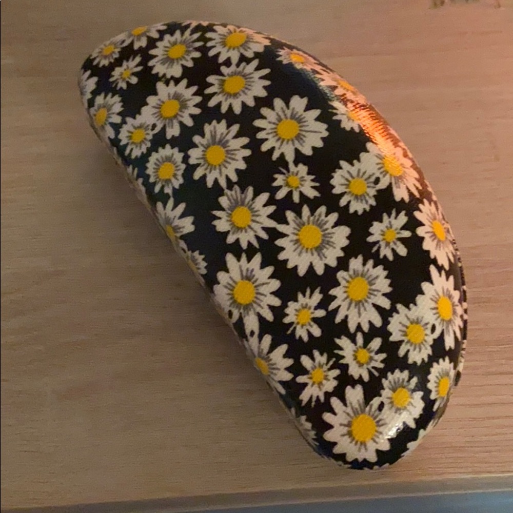 glasses case